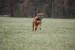 DSC_9085.jpg