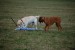 DSC_9218.jpg